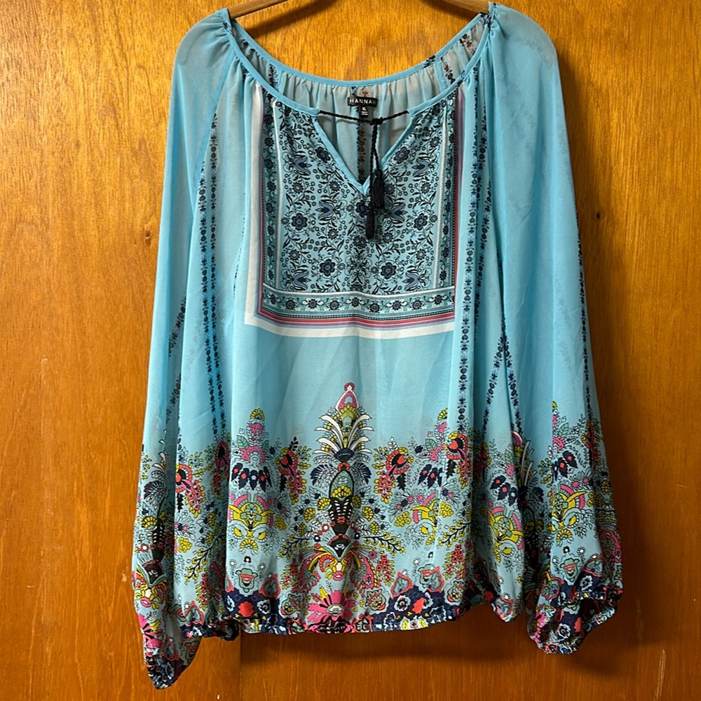 Sheer Long Sleeve Top